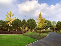 -九里河湿地公园