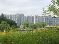 -白塘生态植物园