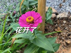 -北仑森林植物园