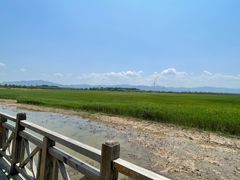 -野鸭湖国家湿地公园