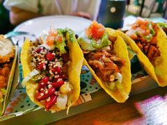 墨西哥鸡肉塔克-Famous肥猫墨西哥音乐餐吧(五棵松华熙LIVE店)