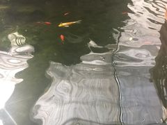 -汤山翠谷生态餐厅
