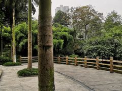 -龙头寺公园
