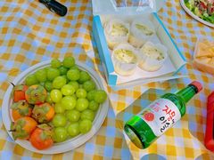 -上海共青森林公园