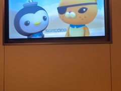-海底捞火锅(津南永旺店生日主题店)
