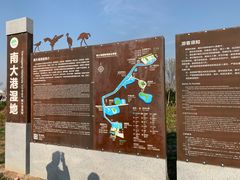 -南大港湿地风景区