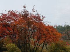 -秦岭终南山世界地质公园翠华山景区