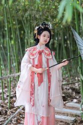 -天星轩汉服(中贸广场店)