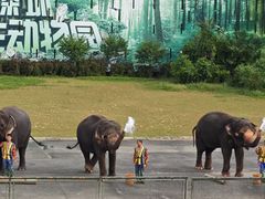 -深圳野生动物园