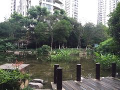 -新湖明珠城