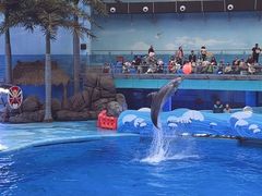-海合安成都极地海洋公园