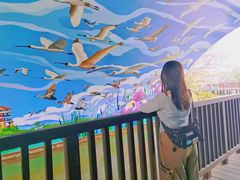 -大湾区中央湿地公园