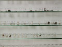 -上海市东方医院(总院)