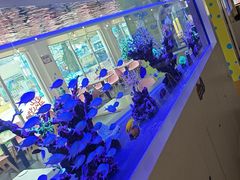 -海合安成都极地海洋公园