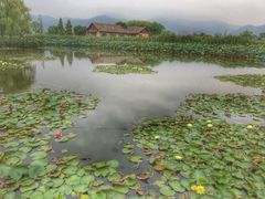 -长兴太湖图影湿地文化园