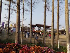 -上海长兴岛郊野公园