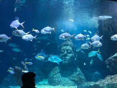 -暹罗海洋世界