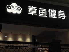 -章鱼健身 Octopus