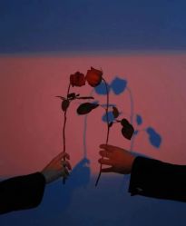 -光明婚纱摄影(建设路店)