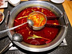 番茄鸳鸯锅-味当家鱼头火锅.•甲鱼料理(金沙店)