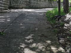 -云岫谷游猎自然风景区