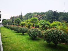 -赭山公园