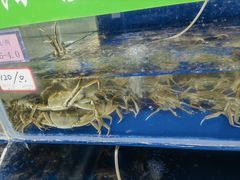 -阳澄湖大闸蟹·琼灵阁牌品牌连锁(吴中总店)