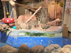-正佳雨林生态植物园