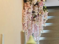 -YZ誉株·塑颜美容中心