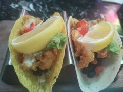 -Famous肥猫墨西哥音乐餐吧(五棵松华熙LIVE店)