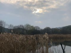 -西湖风景区-江洋畈生态公园