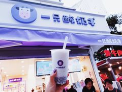 -一只酸奶牛(奎星楼店)