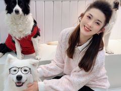 -汪说·狗咖·拼豆·宠物周边DIY(旺城大厦店)