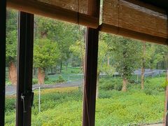 -野蔓果·山野菜(西湖景区·龙井茶田店)