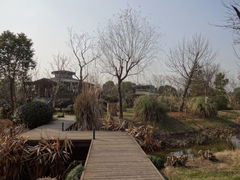 iphone_upload_pic-和茶馆(西溪栖悦城店)