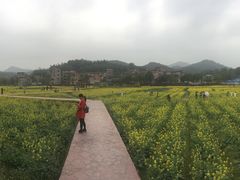 -红山村