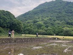 -八卦田遗址公园