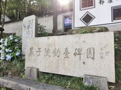 -严子陵钓台(富春江小三峡)