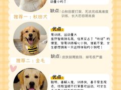 -萌宠之家·腊肠犬·马尔泰·小体犬舍
