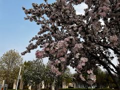 -中华石雕艺术园