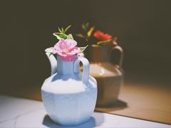 -茶是一枝花泡茶店