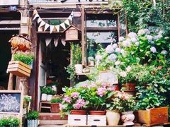 -懒鱼时光馆(沙坪坝店)