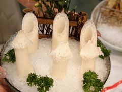 -喜聚薈·花膠雞海鮮火鍋(越秀店)