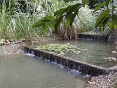 -四川广播电视台(世纪城路店)