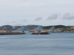 -枸杞岛