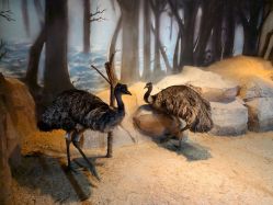 -酷嗒动物文化乐园(cutezoo西溪乐天城店)