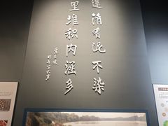 -柳州白莲洞洞穴科学博物馆
