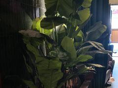 -涟LIAN·泰式按摩·MASSAGE·SPA(华强北店)