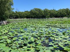 -南戴河国际娱乐中心