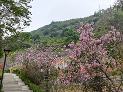-小南山公园